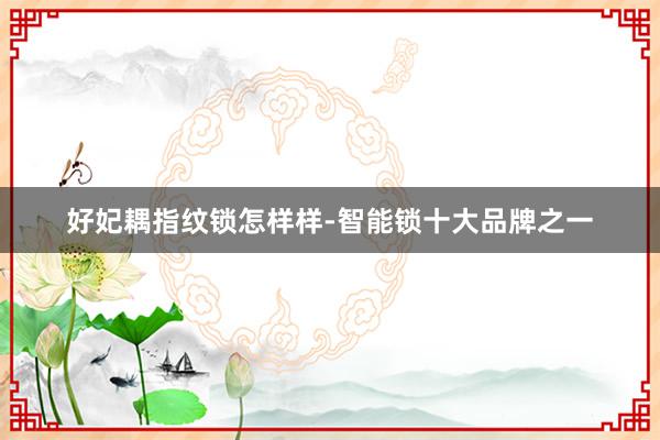 好妃耦指纹锁怎样样-智能锁十大品牌之一